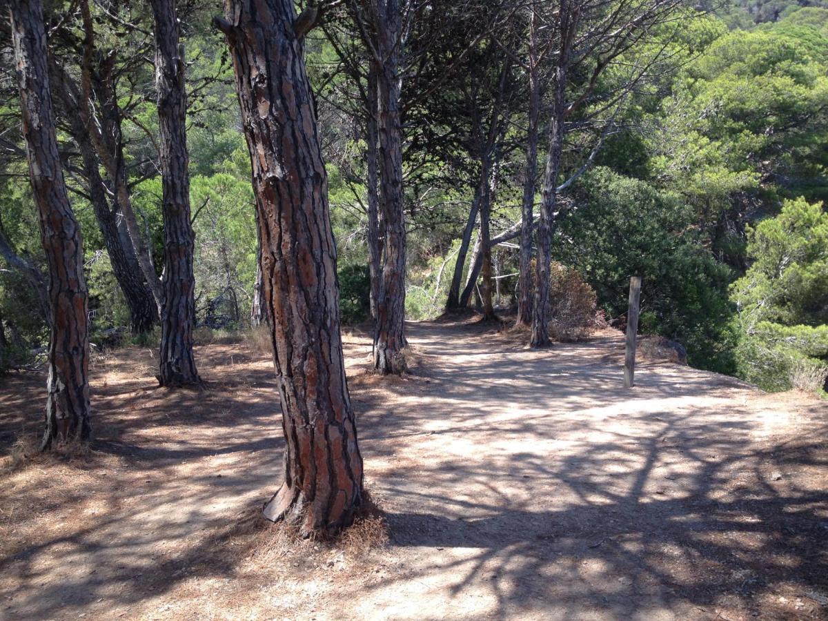 Villa Reymar - Diseno Y Vistas Al Mar Tossa de Mar Kültér fotó